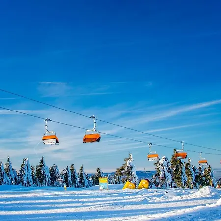 Family Klinovec דירה Loučná pod Klínovcem